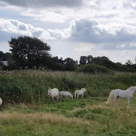 10 Person In Nordborg-by Traum Casa de Férias *